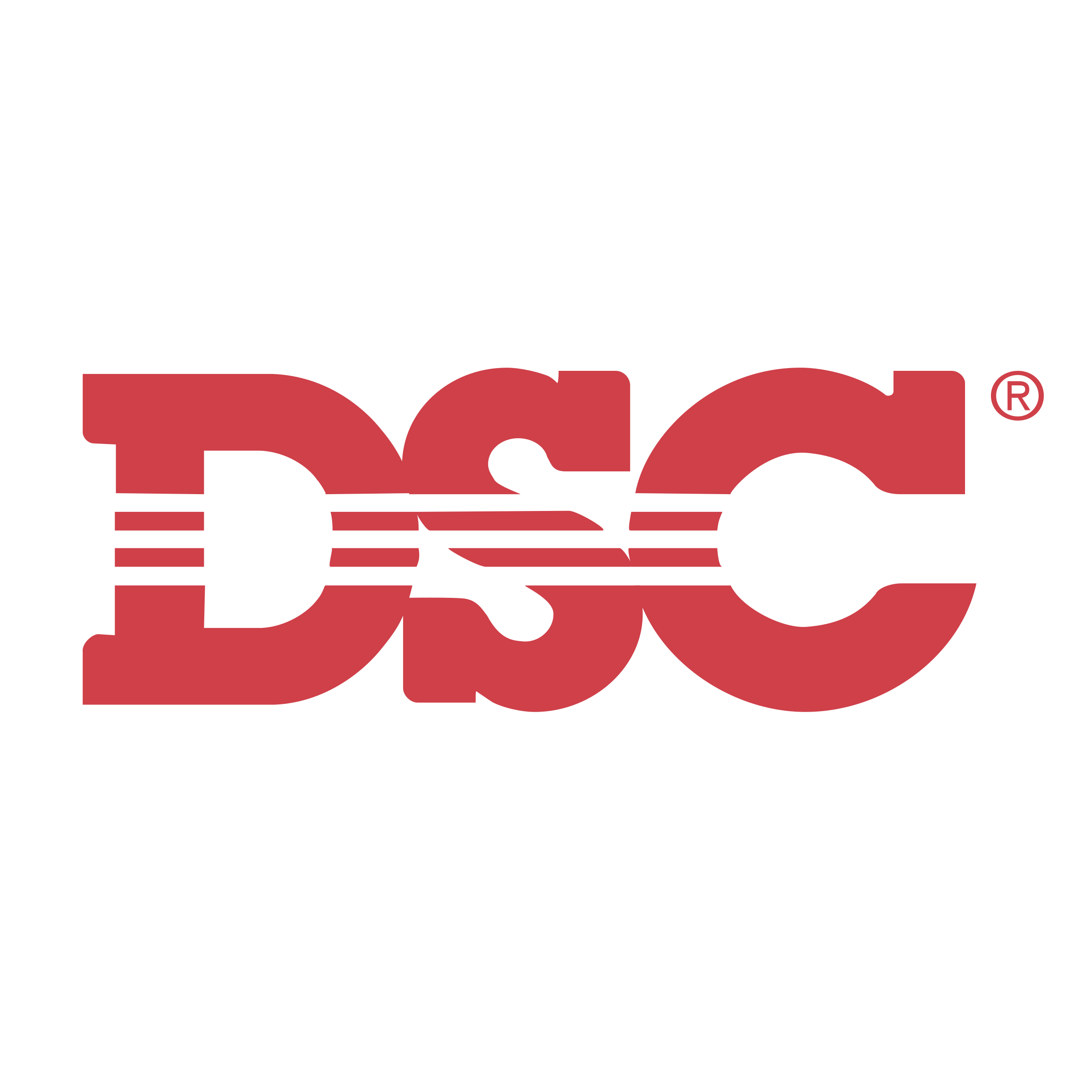 Logo DSC